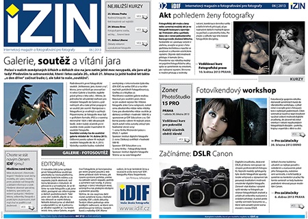 iZIN IDIF 6/2013