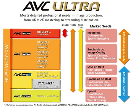 pluginy AVC-Ultra pro Avid Media Composer 6.5 ve verzích Mac i Windows