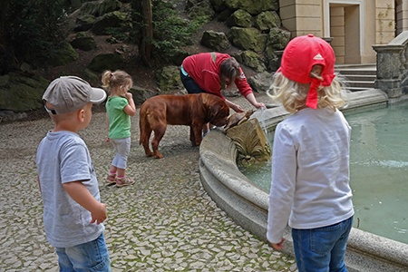 žíznivý domácí mazlík I