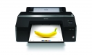 Epson SureColor P5000